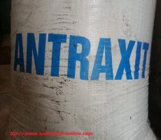 antraxit 2