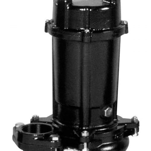 BƠM CHÌM NƯỚC THẢI EBARA không phao 50 DVS 5.75 BƠM CHÌM NƯỚC THẢI EBARA không phao 50 DVS 5.75