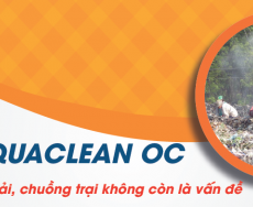 website-600x188-oc-01-chuong-trai