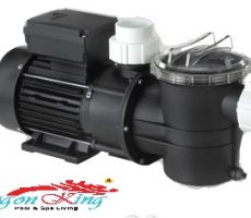 may-bom-nuoc-ho-boi-app-dr-smp-10