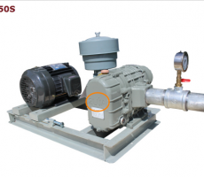 maythoikhiat50s maythoikhiat50s